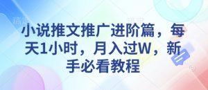 小说推文推广进阶篇，每天1小时，月入过W，新手必看教程-皮皮网创