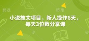 小说推文项目，新人操作6天，每天3位数分享课-皮皮网创