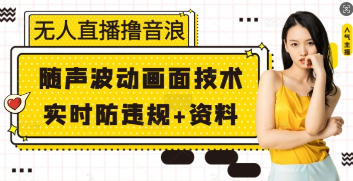 无人直播撸音浪+随声波动画面技术+实时防违规+资料【揭秘】-皮皮网创