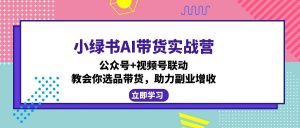 小绿书AI带货实战营：公众号+视频号联动，教会你选品带货，助力副业增收-皮皮网创