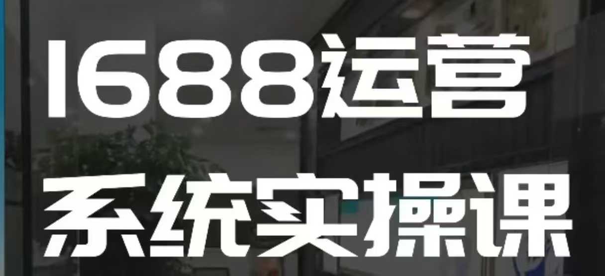 1688高阶运营系统实操课，快速掌握1688店铺运营的核心玩法-皮皮网创