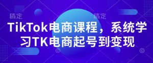TikTok电商课程,系统学习TK电商起号到变现-皮皮网创