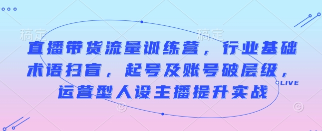 直播带货流量训练营，行业基础术语扫盲，起号及账号破层级，运营型人设主播提升实战-皮皮网创