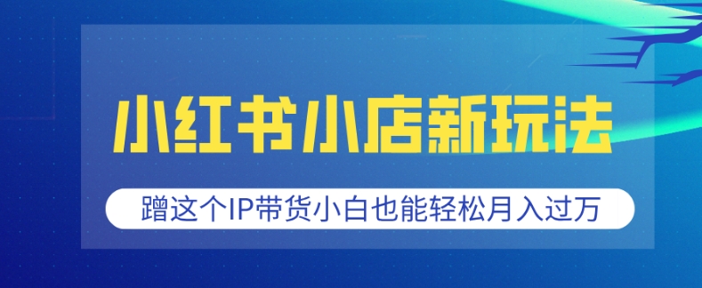 小红书小店新玩法，蹭这个IP带货，小白也能轻松月入过W【揭秘】-皮皮网创