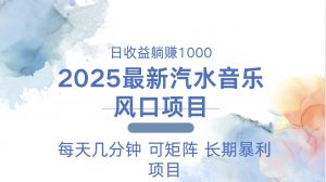 2025最新汽水音乐躺赚项目 每天几分钟 日入1000+-皮皮网创
