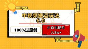 中视频搬运玩法6.0，利用软件双重去重，100%过原创，小白也能月入5w+-皮皮网创