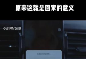 利用春节风口，制作热点视频，多种玩法类型，新手也能轻松变现！-皮皮网创