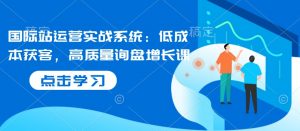 国际站运营实战系统:低成本获客,高质量询盘增长课-皮皮网创