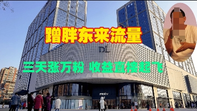蹭胖东来流量，三天涨万粉，收益直接起飞-皮皮网创
