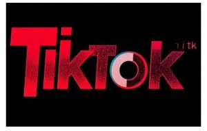 TikTok ads投流秘籍,涵盖tiktok整体投放思路,教你搭建测试计划-皮皮网创