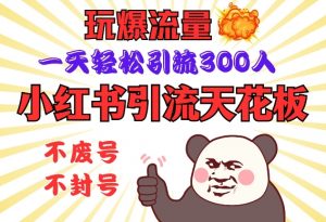 小红书引流天花板，玩爆流量，一天轻松引流300人，安全操作-皮皮网创