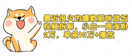最近很火的爆款猫咪做饭视频拆解，小白一周涨粉2万，单条10万+播放(附保姆级教程)-皮皮网创