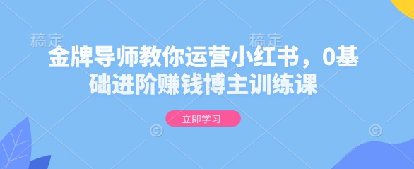 金牌导师教你运营小红书，0基础进阶赚钱博主训练课-皮皮网创