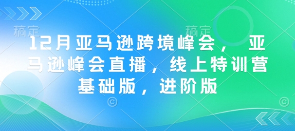 12月亚马逊跨境峰会， 亚马逊峰会直播，线上特训营基础版，进阶版-皮皮网创