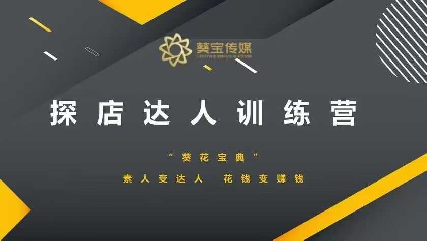 探店达人训练营，素人变达人，花钱变赚钱-皮皮网创