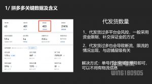 纪主任·拼多多年费会员(更新2025年1月)-皮皮网创