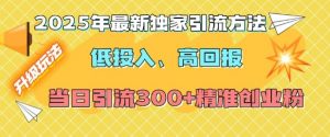 2025年最新独家引流方法,低投入高回报?当日引流300+精准创业粉-皮皮网创