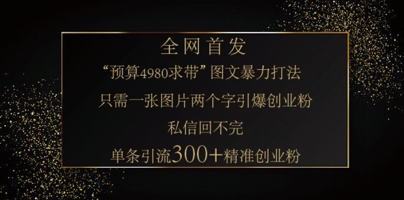 小红书神奇图片引流法，只需一张图，就能单条笔记凭借此方法，轻松引流 300 + 精准创业粉-皮皮网创