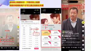 书阳老师·短剧运营变现之路-皮皮网创