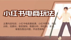 小红书电商玩法：带货/选品/找素材/裂变/数据分析/供应商/发货/售后/开店思维等-皮皮网创