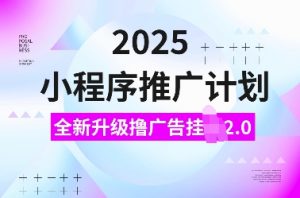 2025小程序推广计划,全新升级撸广告挂JI2.0玩法,日入多张,小白可做【揭秘】-皮皮网创