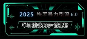 2025年快手6.0保姆级教程震撼来袭，单日狂吸300+精准创业粉-皮皮网创
