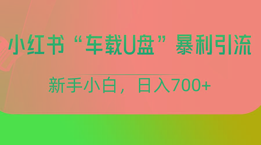 小红书“车载U盘”项目，暴利引流，新手小白轻松日入700+-皮皮网创