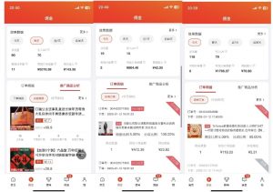 2025最新京东蓝海项目，0 门槛日入 1k+，小白宝妈轻松上手【揭秘】-皮皮网创