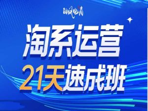 淘系运营21天速成班35期，年前最后一波和2025方向-皮皮网创