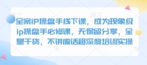 全案IP操盘手线下课,成为现象级ip操盘手必修课,无保留分享,全是干货,不讲废话超深度培训实操-皮皮网创