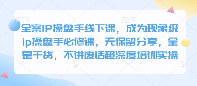 全案IP操盘手线下课，成为现象级ip操盘手必修课，无保留分享，全是干货，不讲废话超深度培训实操-皮皮网创