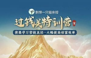 剽悍一只猫-过钱关特训营，学习营销真经 大幅度提高创富效率-皮皮网创