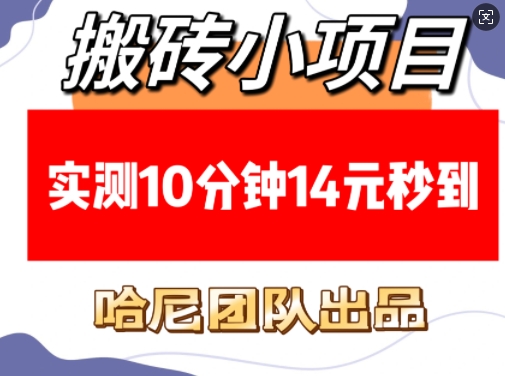 搬砖小项目，实测10分钟14元秒到，每天稳定几张(赠送必看稳定)-皮皮网创