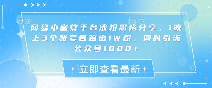 网易小蜜蜂平台涨粉思路分享，1晚上3个账号各跑出1W粉，同时引流公众号1000+-皮皮网创
