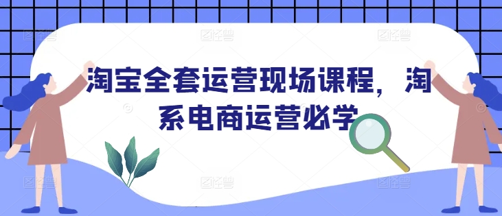 淘宝全套运营现场课程，淘系电商运营必学-皮皮网创
