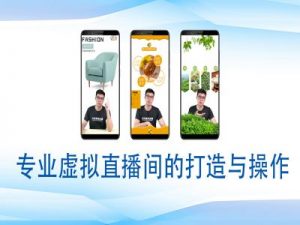 个人虚拟直播间的搭建与操作,专业虚拟直播间的打造与操作-皮皮网创
