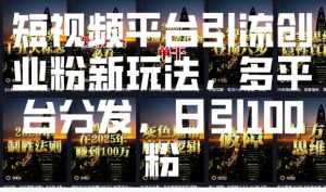 短视频平台引流创业粉新玩法，多平台分发，日引100粉-皮皮网创