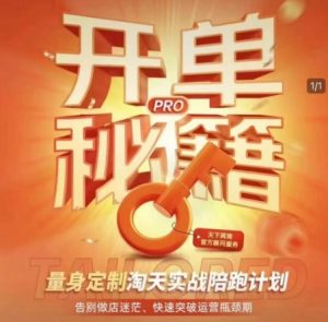淘宝开单秘籍PRO,量身定制淘天实战陪跑计划,告别做店迷茫、快速突破运营瓶颈期-皮皮网创