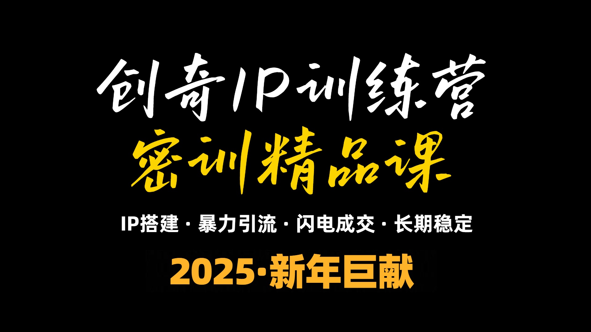 2025年“知识付费IP训练营”小白避坑年赚百万，暴力引流，闪电成交-皮皮网创