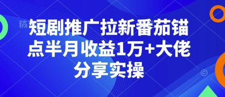 短剧推广拉新番茄锚点半月收益1万+大佬分享实操-皮皮网创