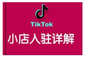 TikTok跨境小店运营全攻略,帮助你独立运营TK跨境小店的能力,实现销量增长-皮皮网创