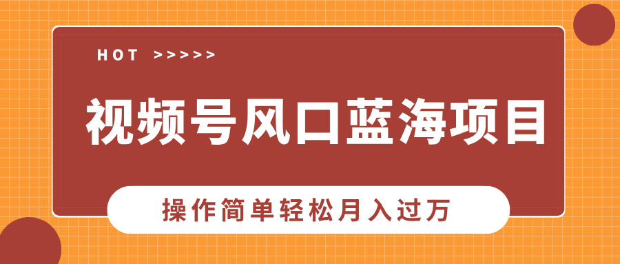 视频号风口蓝海项目，中老年人的流量密码，操作简单轻松月入过万-皮皮网创