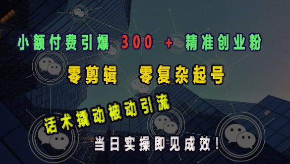 小额付费引爆 300 + 精准创业粉，零剪辑、零复杂起号，话术撬动被动引流，当日实操即见成效-皮皮网创