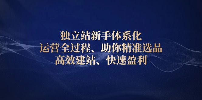 独立站新手体系化 运营全过程，助你精准选品、高效建站、快速盈利-皮皮网创