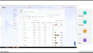 蓝狐电商·抖音商城运营课程(更新2025年1月)-皮皮网创