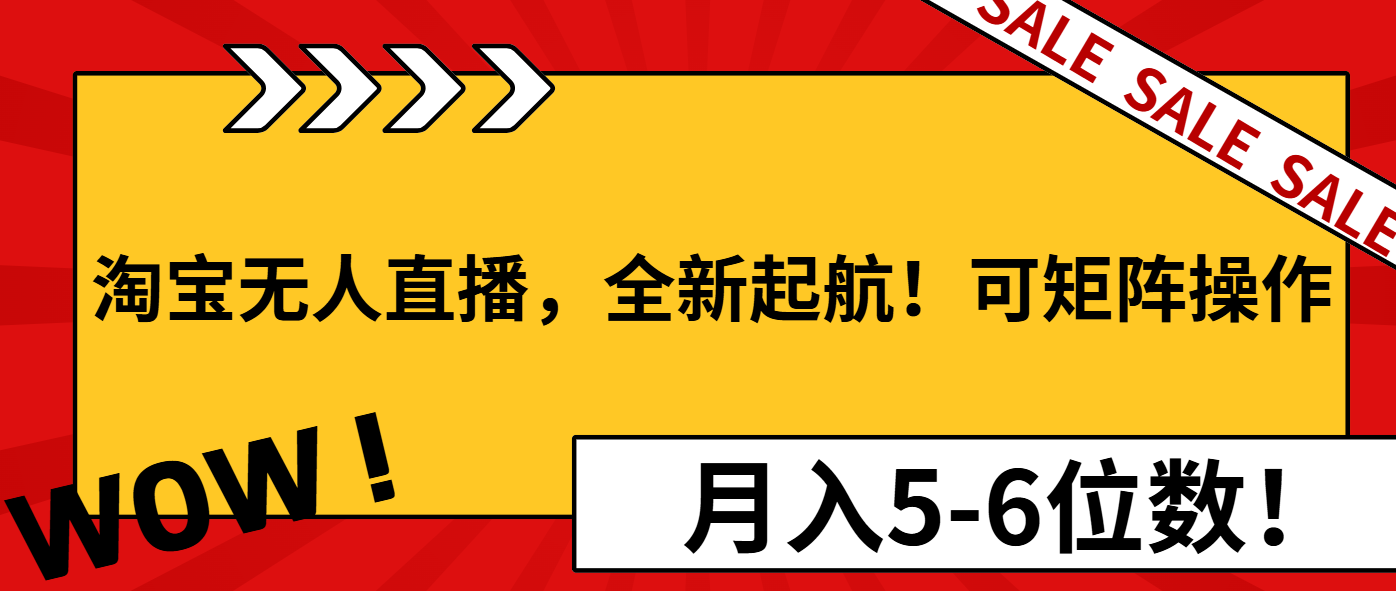 淘宝无人直播，全新起航！可矩阵操作，月入5-6位数！-皮皮网创
