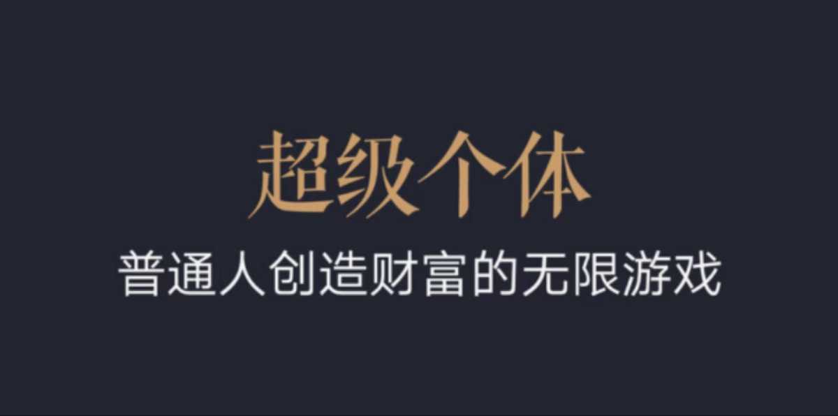超级个体：2024-2025翻盘指南，普通人创造财富的无限游戏-皮皮网创