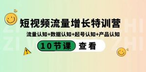 短视频流量增长特训营:流量认知+数据认知+起号认知+产品认知(10节课)-皮皮网创