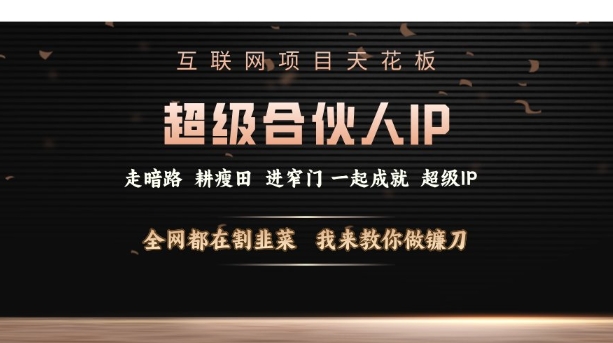 互联网项目天花板，超级合伙人IP，全网都在割韭菜，我来教你做镰刀【仅揭秘】-皮皮网创