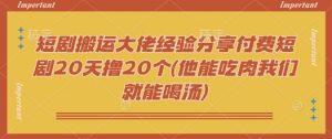 短剧搬运大佬经验分享付费短剧20天撸20个(他能吃肉我们就能喝汤)-皮皮网创